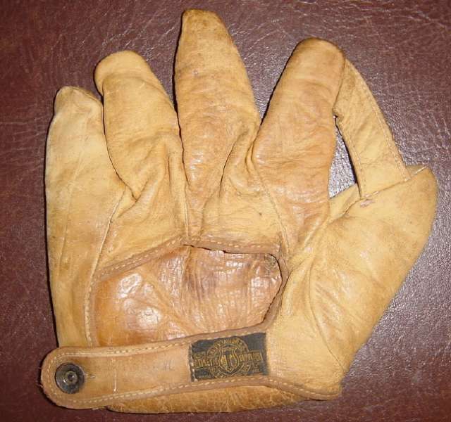 Alex Taylor 1 Inch Web Back